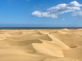 Dünen von Maspalomas Gran canaria