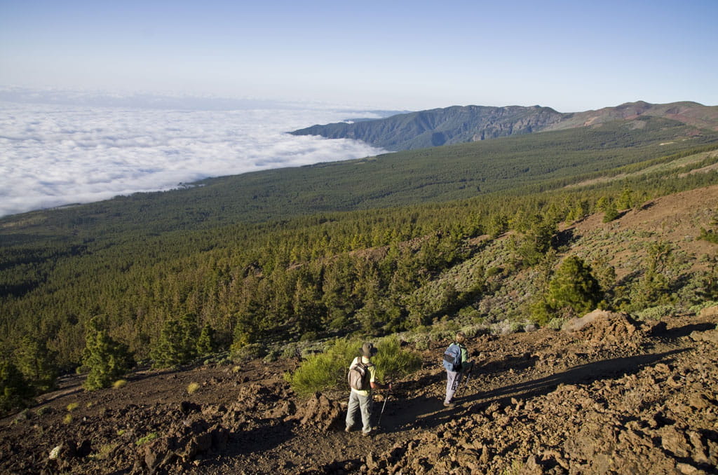 parque-nacional-teide-alto-de-guamaso-senderismo